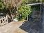 Immagine 28
