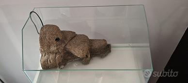 Tartarughiera o Acquario 