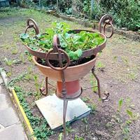 grande portavaso antico arredo da giardino