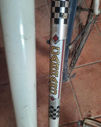 bicicletta da donna