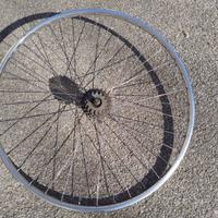 Ruota posteriore bici corsa Ambrosio