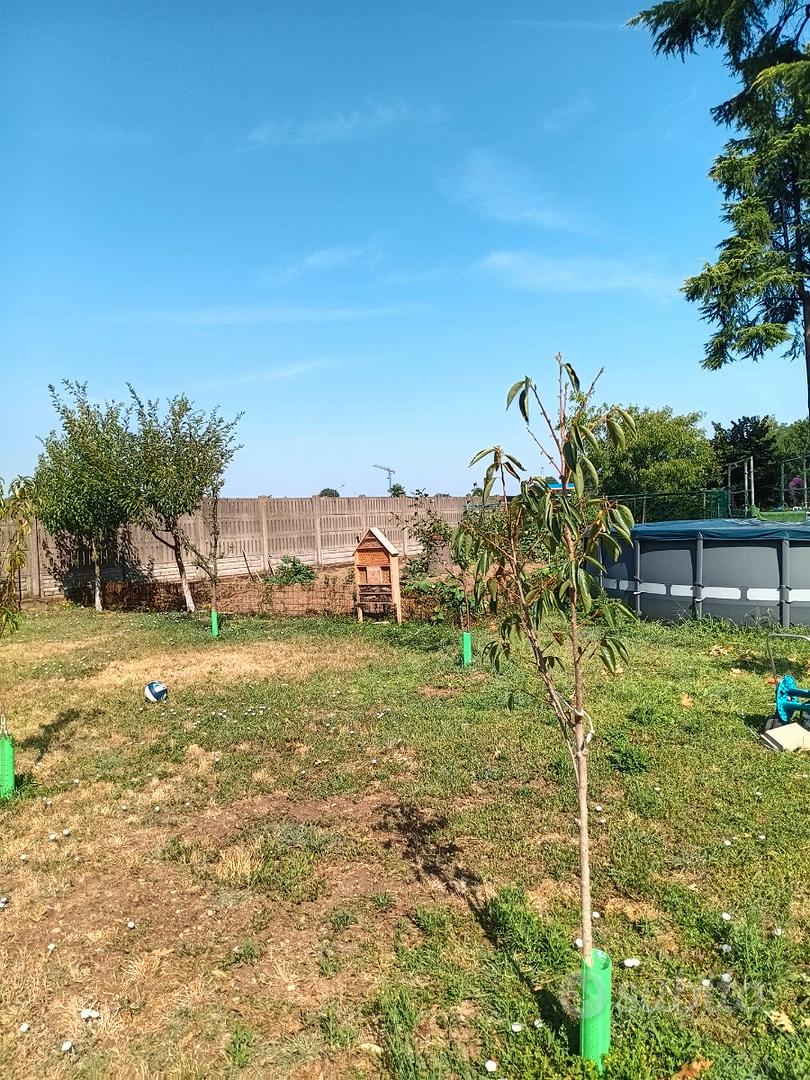 Terreno agricolo recintato con acqua potabile - Vista 2