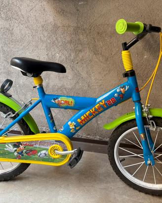 Bicicletta raggio 16