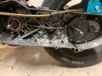 coprirapporti polini