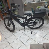 Bicicletta con pedelata assistita