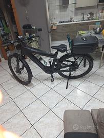 Bicicletta con pedelata assistita