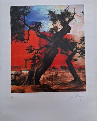 Opera d’arte dell’artista Amedeo Brogli.