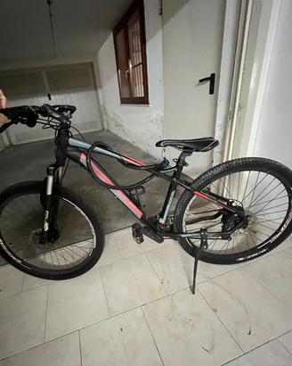 Bicicletta mountain bike
