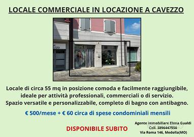Locale commerciale a Cavezzo
