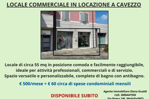 Locale commerciale a Cavezzo