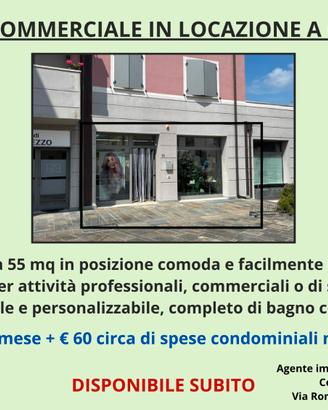 Locale commerciale a Cavezzo