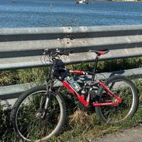 Bici torpado ragazzi