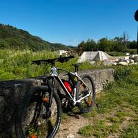 MTB Scott
