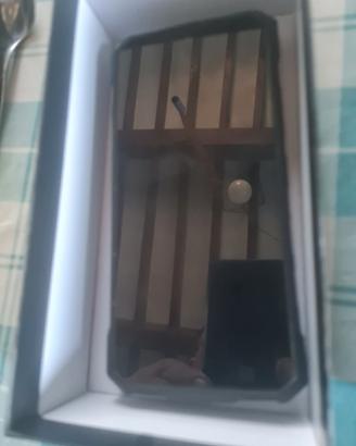 doogee ruged