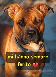 CHICCO 18 MESI Taglia grande