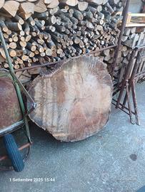 Ruota di Cedro del Libano