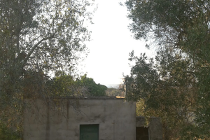 Terreno gallipoli