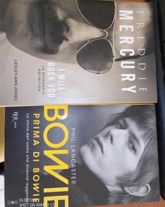 Bowie & Mercury biografie
