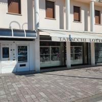 Tabaccheria centrale