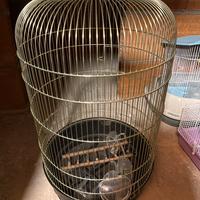 Voliera per uccellini