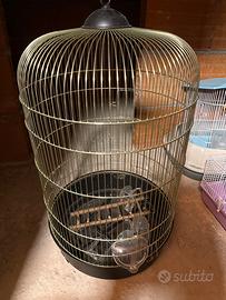 Voliera per uccellini