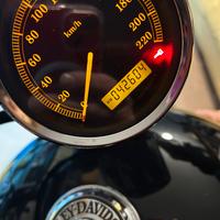HD XL Sportster 1200 Custom