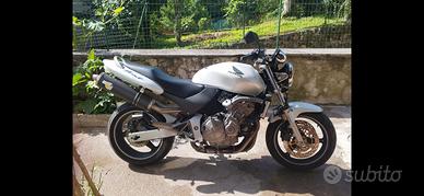 Hornet 03