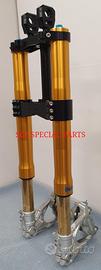 DUCATI MONSTER S4 AVANTRENO FORCELLE OHLINS BREMBO
