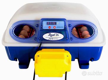 Incubatrice borbotto 24 uova automatica