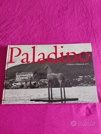 Mimmo Paladino