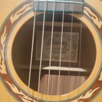 Chitarra acustica Ibanez