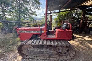 Massey Ferguson 274 cingolato