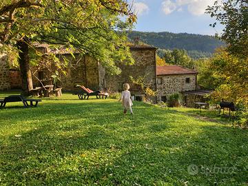 Lucashouse Monte Amiata