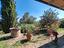 Immagine 10