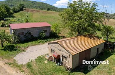 Rustico / Casale di 110 m² con 5 locali a Capalbio