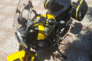 Ducati scrambler icon yellow 800 anno 2019