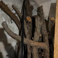Tronchi di ginepro