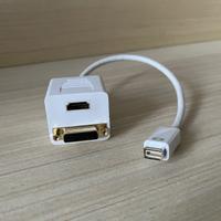 Adattore mini DVI-DVI e HDMI