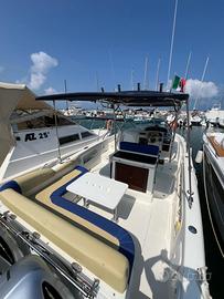 Saver 33 Walk Around