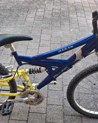 bicicletta  bambino