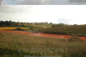 Terreno Agricolo Ariccia [A4336743]