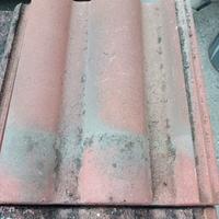 tegole wierer coppo di Francia