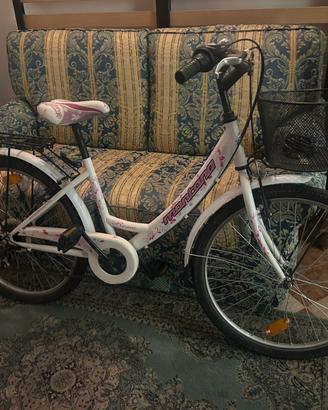 Bicicletta