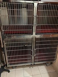 Gabbie degenza clinica ambulatorio veterinario