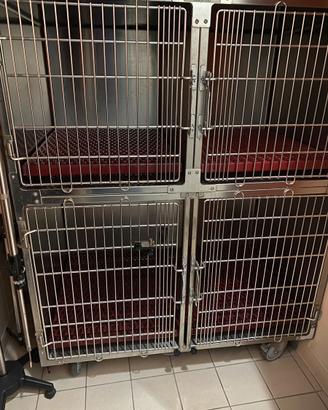Gabbie degenza clinica ambulatorio veterinario
