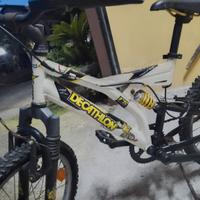 bicicletta 20