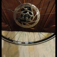 ruota completa Pignone da 9 anni misura 28