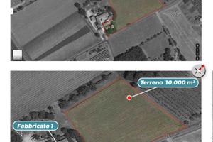 2 fabbricati da ristrutturare + 10000 m² terreno