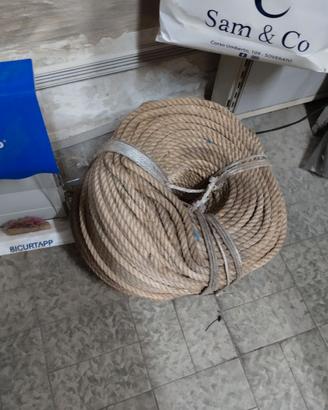 Cordone