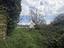 Immagine 29